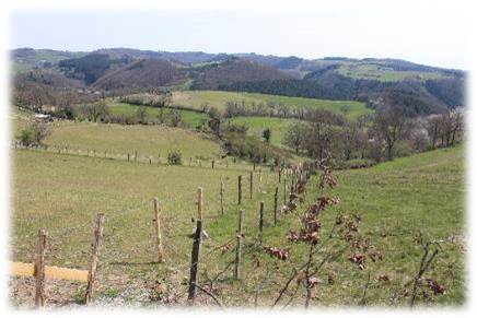 Vue sur la vallée du Bernand