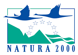logo_n2000.png